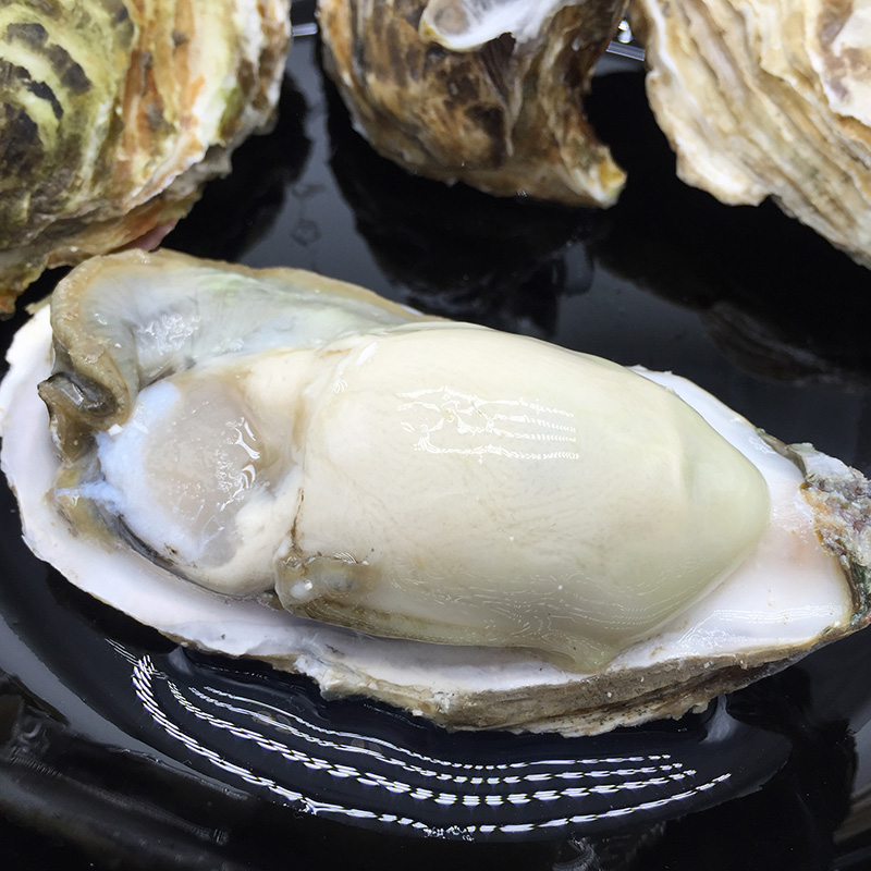三座海 烟台乳山生蚝鲜活5斤装20-25只 烟台牡蛎海蛎子刺身生蚝生鲜