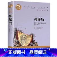 神秘岛 [正版]神秘岛小学生初中生课外阅读书世界经典文学名著cs