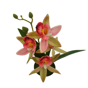 秦泰(Cqint)747658 仿真花 兰花 香槟色