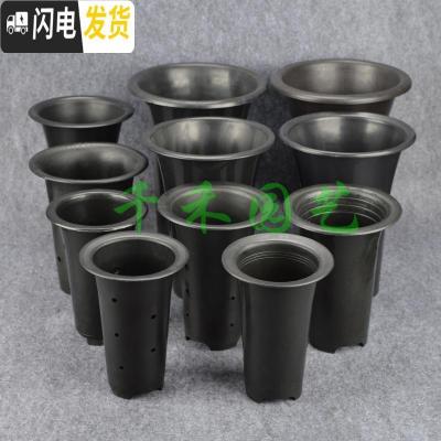 三维工匠塑料花盆透气盆气生盆国兰盆洋兰盆黑色凹底、平底兰花盆 黑色6寸平底有边孔 5个(送1米网套)花盆容器