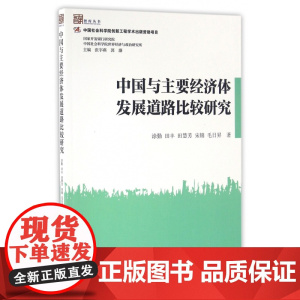 中国与主要经济体发展道路比较研究/智库丛书