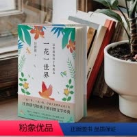 一花一世界 [正版]7册任选汪曾祺典藏文集新版 人间草木 五味 受戒 故乡与故人 在西南联大的日子近代文学经典课外读物世