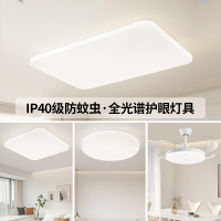 雷士照明全光谱护眼吸顶灯IP40防蚊虫现代简约灯具套餐中山灯具