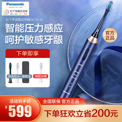 松下(Panasonic)电动牙刷声波震动牙刷全身防水柔软细毛刷头+护理刷头松下小光环EW-DC12-A40