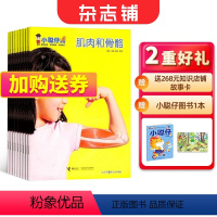 [正版]小聪仔自然科普版杂志 2024年7月起订 1年共12期 杂志铺 少儿益智科普智力开发拓宽知识面科学探秘儿童课外