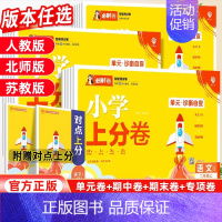 语文[人教版] 二年级上 [正版]2024小学必刷卷上分卷一年级二年级三年级四五六年级上册语文数学单元测试卷全套人教版苏
