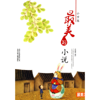 正版新书]最美书系小学卷最美的小说吕丽娜 编评9787530124321