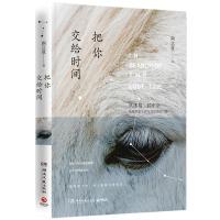 正版新书]把你交给时间陶立夏9787540476700