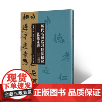 张猛龙碑·历代名碑临习技法精解 临摹详解 超清范本