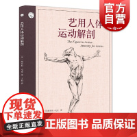 艺用人体运动解剖 西方经典美术技法译丛 路易丝戈登 人体素描 素描 绘画 图解解剖学 上海人民美术出版社
