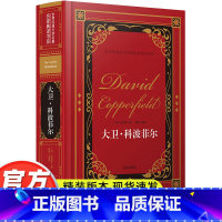 世界经典名著[大卫 科波菲尔] [正版]世界经典文学十大名著全套10册呼啸山庄钢铁是怎样炼成的简爱傲慢与偏见了不起的盖茨