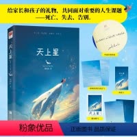 天上星(印签版) [正版]印签版丨天上星 姚晓虹著 给家长和孩子的礼物 共同面对死亡失去告别等人生重要课题 帮助共建良好