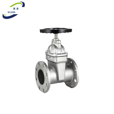 悉金 不锈钢法兰截止阀 XJ - DN65 个