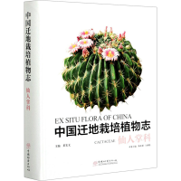 醉染图书中国迁地栽培植物志 仙人掌科9787521908190