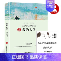 我的大学 [正版]秘密花园书籍经典名著小学生四年级五年级的六年级儿童版课外书阅读4-5-6年级必读伯内特原著密密花园天津