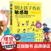 正版 别让孩子伤在敏感期 教育孩子的书籍捕捉孩子的敏感期 育儿书籍父母读正面管教 好妈妈胜过好老师