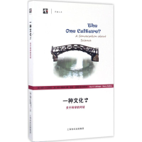 音像一种文化?