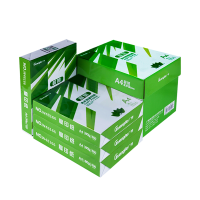 广博(GuangBo) W48166 超赞 A4 80克 500张/包 5包/箱 复印纸 白