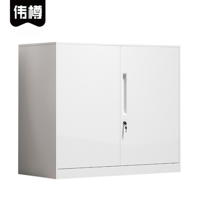 伟樽铁皮矮柜白色对开铁门900*400*760mm台