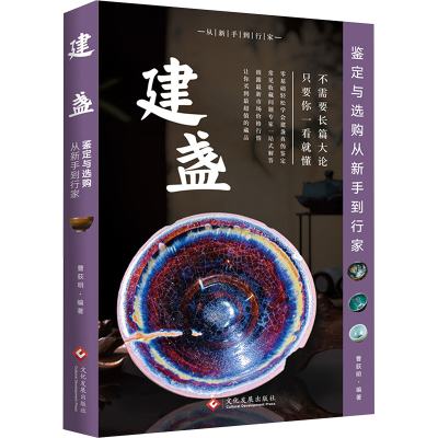 正版新书]建盏鉴定与选购从新手到行家曹荻明9787514244298