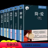 [正版]全5册简爱+复活+我的大学+安娜卡列尼娜 原著中英文双语版英汉对照互译书籍 初中高中大学生课外阅读经典英文小说