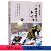 [正版]钢铁是怎样炼成的(初二八8年级适读)/名著导读同步阅读书系上海人民美术出版社外国儿童文学暑假阅读书目