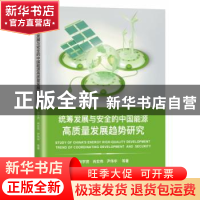 正版 统筹发展与安全的中国能源高质量发展趋势研究 张宇贤,肖宏