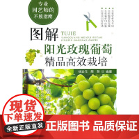 正版书籍 图解阳光玫瑰葡萄精品高效栽培(专业园艺师的不败指南)
