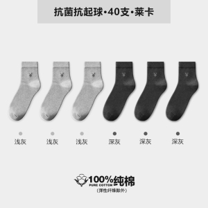 花花公子袜子男纯棉夏薄款男款中筒袜防臭吸汗7a抗菌男士全棉男袜