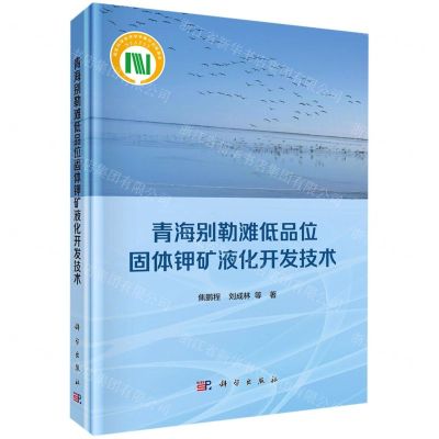 [N]青海别勒滩低品位固体钾矿液化开发技术(精)-9787030641861