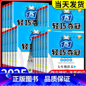 政治(人教版) 八年级下 [正版]初中轻巧夺冠七年级八九年级上册下册语文数学英语物理化学人教版北师大初一二三同步练习册训