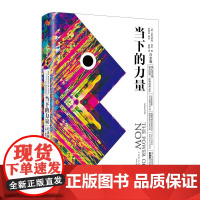 当下的力量(白金版) 精装 埃克哈特·托利 著 身心灵 张德芬作序 中信出版社图书 自我励志经典之作