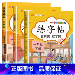 一年级下册练字帖+阅读理解+看图写话 [正版]2024人教版 小学一年级字帖 练字二年级三年级上册语文同步练字帖 四五六