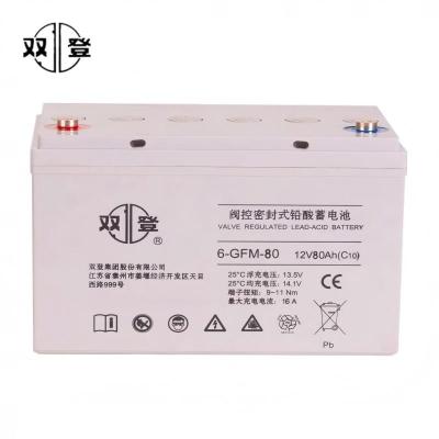 双登蓄电池6-GFM-80