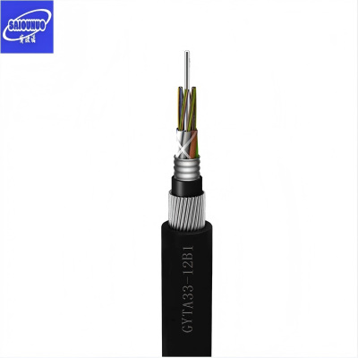 赛欧诺 铠装水下光缆 GYTA33-48B1 米