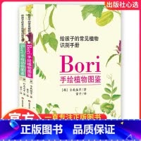 [正版]动植物图鉴全2册手绘动物图鉴手绘植物图鉴给孩子常见的植物识别手册动物识别手册吉林美术出版社