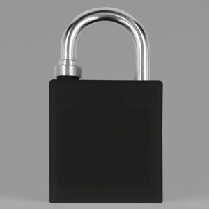 明壹行 MYX-GS04 不锈钢通开挂锁(计价单位:个) 黑色