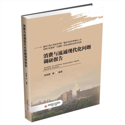正版新书]消费与流通现代化问题调研报告杨海丽 ... [等] 编著