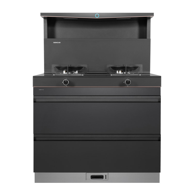 森歌(SENG) L1集成灶 集成消毒柜款 二星级消毒一体式吸烟机燃气灶具 家用抽油烟机燃气灶 灰色(气源备注)