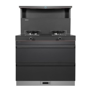 森歌(SENG) L1集成灶 集成消毒柜款 二星级消毒一体式吸烟机燃气灶具 家用抽油烟机燃气灶 灰色(气源备注)