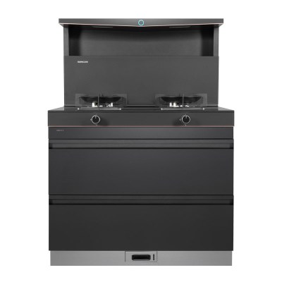 森歌(SENG) L1集成灶 集成消毒柜款 二星级消毒一体式吸烟机燃气灶具 家用抽油烟机燃气灶 灰色(气源备注)