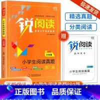 三年级 小学通用 [正版]锐阅读小学生阅读真题80篇一年级二年级三年级四年级五年级六年级阅读理解训练题人教版每日一练语文