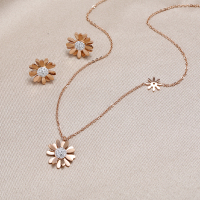 小雏菊钛钢项链女潮简约百搭冷淡风气质小众设计网红不褪色锁骨链送女朋友老婆情人节七夕生日礼物