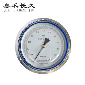 嘉禾长久 精密压力表轴向带边 YB150ZT 0.25级 0-0.6Mpa 块
