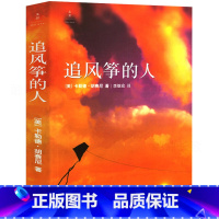 [正版]追风筝的人 胡塞尼著 中文版珍藏版 两千万读者口耳相传 情感读物 文艺女性的动人故事放风筝的人追着风筝的人 上