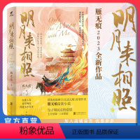 [正版]店 明月来相照 热播剧白玉思无瑕原著作者雁无痕新作 武侠小说 武侠悬疑 宫斗爱情 当代言情小说