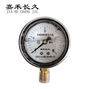 嘉禾长久+不锈钢耐震压力表检测定制型+YN60BF+块