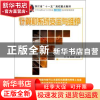 正版 计算机系统安全与维护 吕新荣,陆世伟主编 北京大学出版社