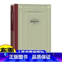 网格本:情感教育 [正版]精装 情感教育 格斯塔夫·福楼拜著 网格本人文社外国文学名著丛书 人民文学出版社 中小学生课外