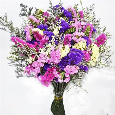 京弗云南干花花束客厅摆设生日批发勿忘我鲜干花真花装饰摆件